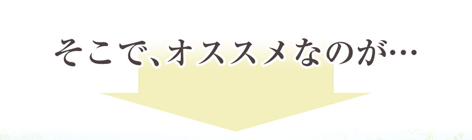 そこで、オススメなのが…