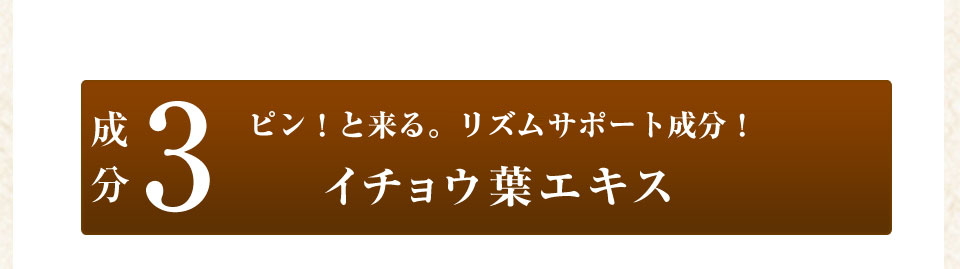 成分3ピン!と来る。めぐりサポート成分!イチョウ葉エキス