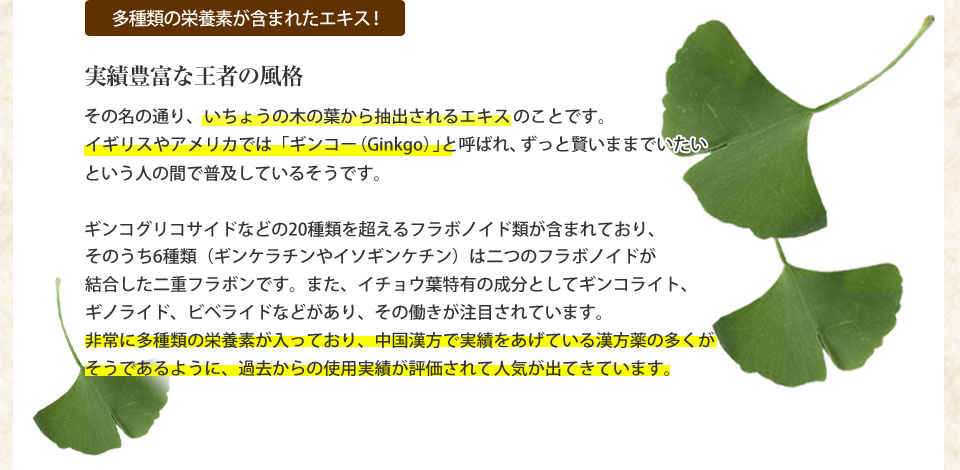 多種類の栄養素が含まれたエキス!実績豊富な王者の風格その名の通り、いちょうの木の葉から抽出されるエキスのことです。イギリスやアメリカでは「ギンコー(Ginkgo)」と呼ばれ、ずっと賢いままでいたいという人の間で普及しているそうです。ギンコグリコサイドなどの20種類を超えるフラボノイド類が含まれており、そのうち6種類(ギンケラチンやイソギンケチン)は二つのフラボノイドが結合した二重フラボンです。また、イチョウ葉特有の成分としてギンコライト、ギノライド、ビベライドなどがあり、その働きが注目されています。非常に多種類の栄養素が入っており、中国漢方で実績をあげている漢方薬の多くがそうであるように、過去からの使用実績が評価されて人気が出てきています。