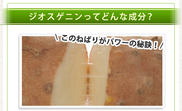 ジオスゲニンってどんな成分？