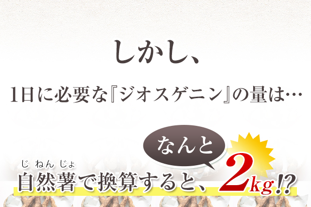 しかし、1日に必要な「ジオスゲニン」の量は…自然薯で換算すると、なんと2kg!?