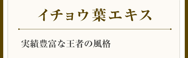 実績豊富な王者の風格