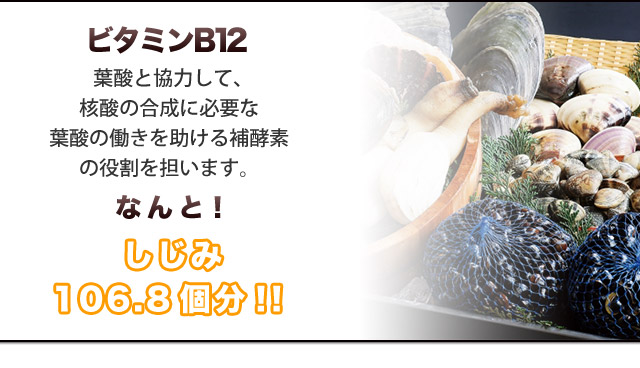 ビタミンB12なんと!しじみ106.8個分!!