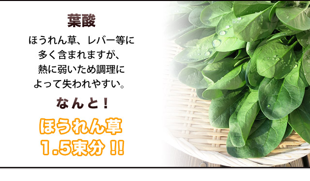 葉酸なんと!ほうれん草1.5束分!!