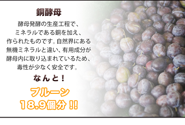 銅酵母なんと!プルーン18.9個分!!