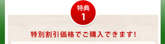 特典1特別割引価格でご購入できます!