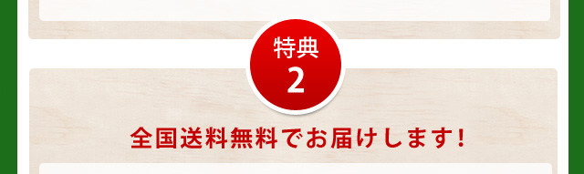 特典2全国送料無料でお届けします!