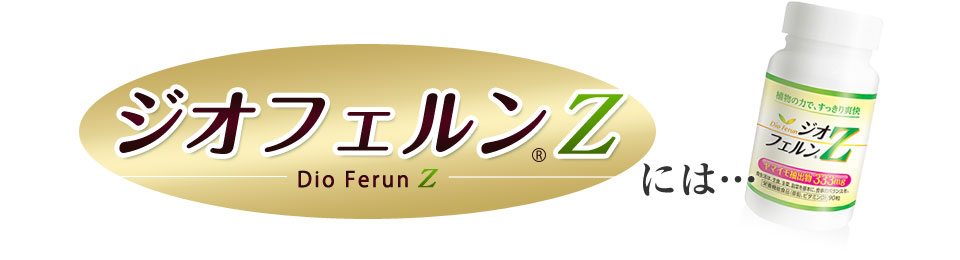 ジオフェルンZには…