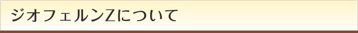 ジオフェルンZについて