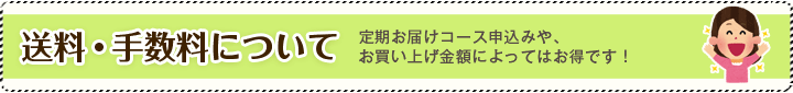 送料・手数料について