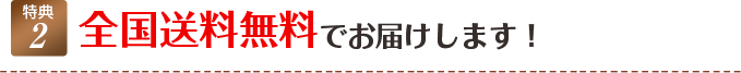 全国送料無料でお届けします！