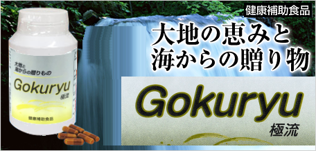 極流‐Gokuryu